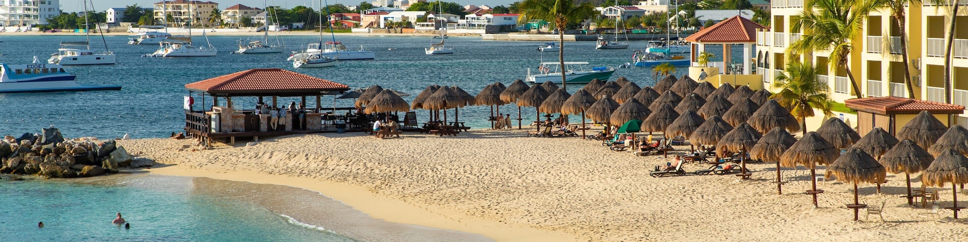 Pelican Key showing a sandy beach, general coastal views and a coastal town