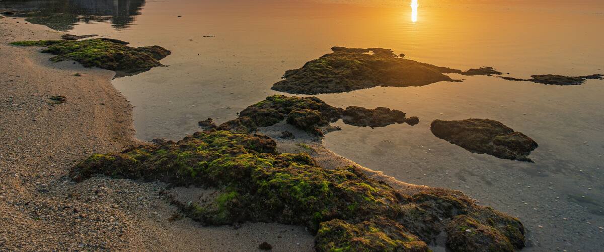 A sunset over a calm beach with rocky outcrops and a clear sky.
