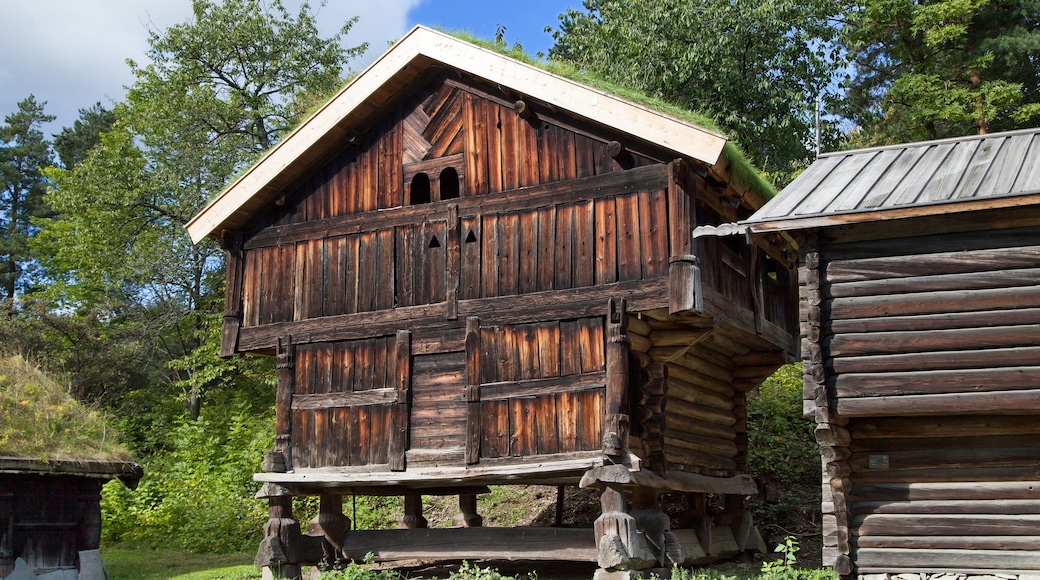 Ancient Stabbur from Numedal