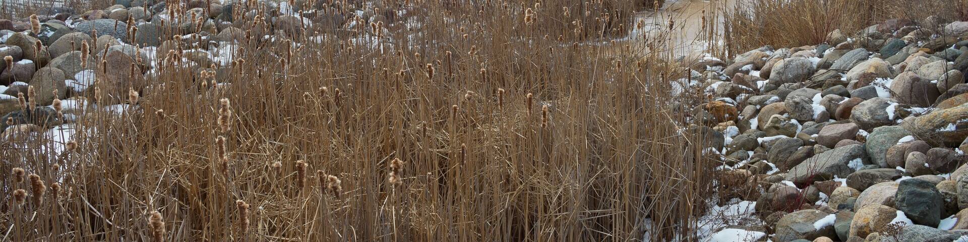 inlet and backwaters of pokegama lake in grand rapids minnesota ; Shutterstock ID 405650593; Purchase Order: -