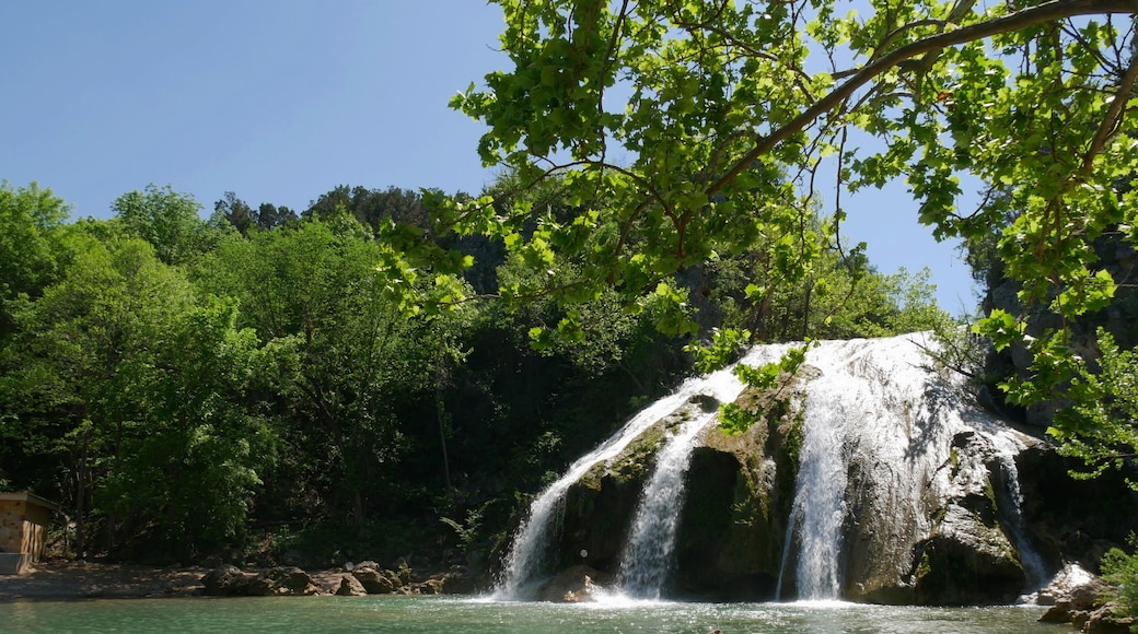 Lake of the Arbuckles