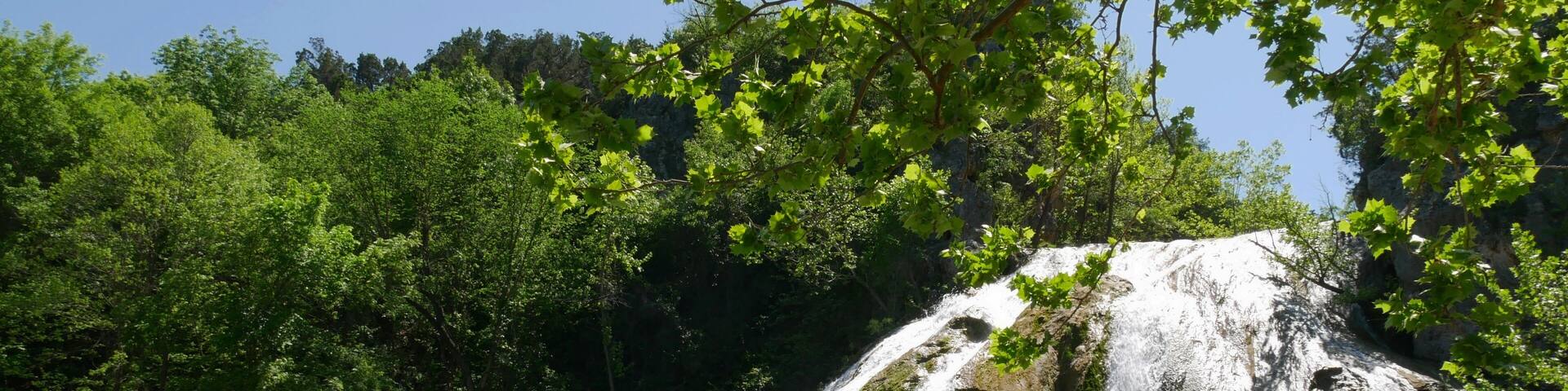 A waterfall cascading into a clear green pool surrounded by lush green trees.