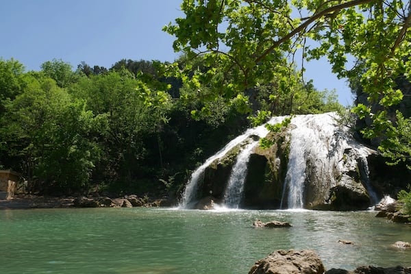 Uma cascata deságua em uma piscina verde cristalina, rodeada por árvores exuberantes.