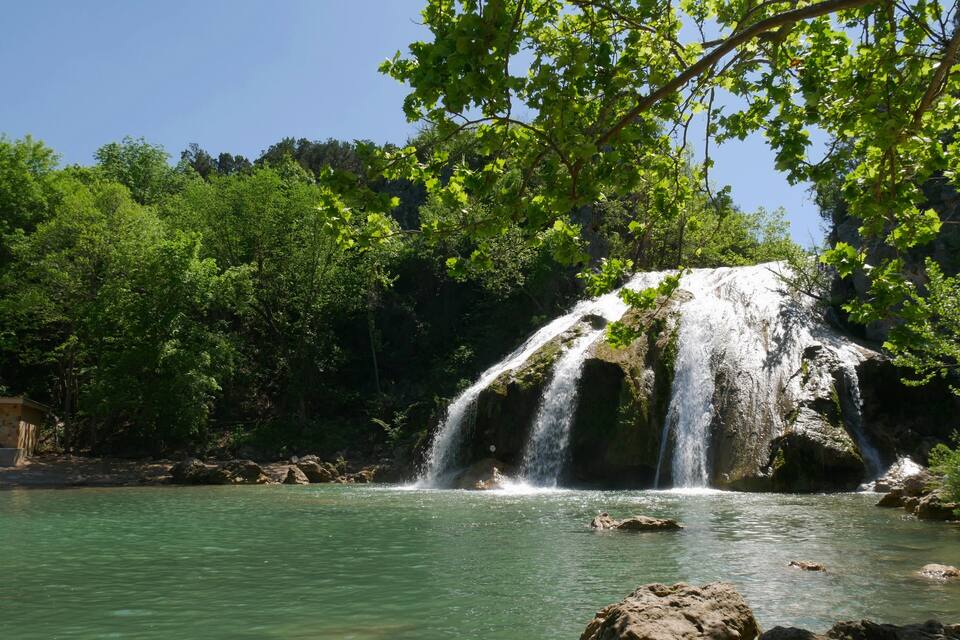 A waterfall cascading into a clear green pool surrounded by lush green trees.