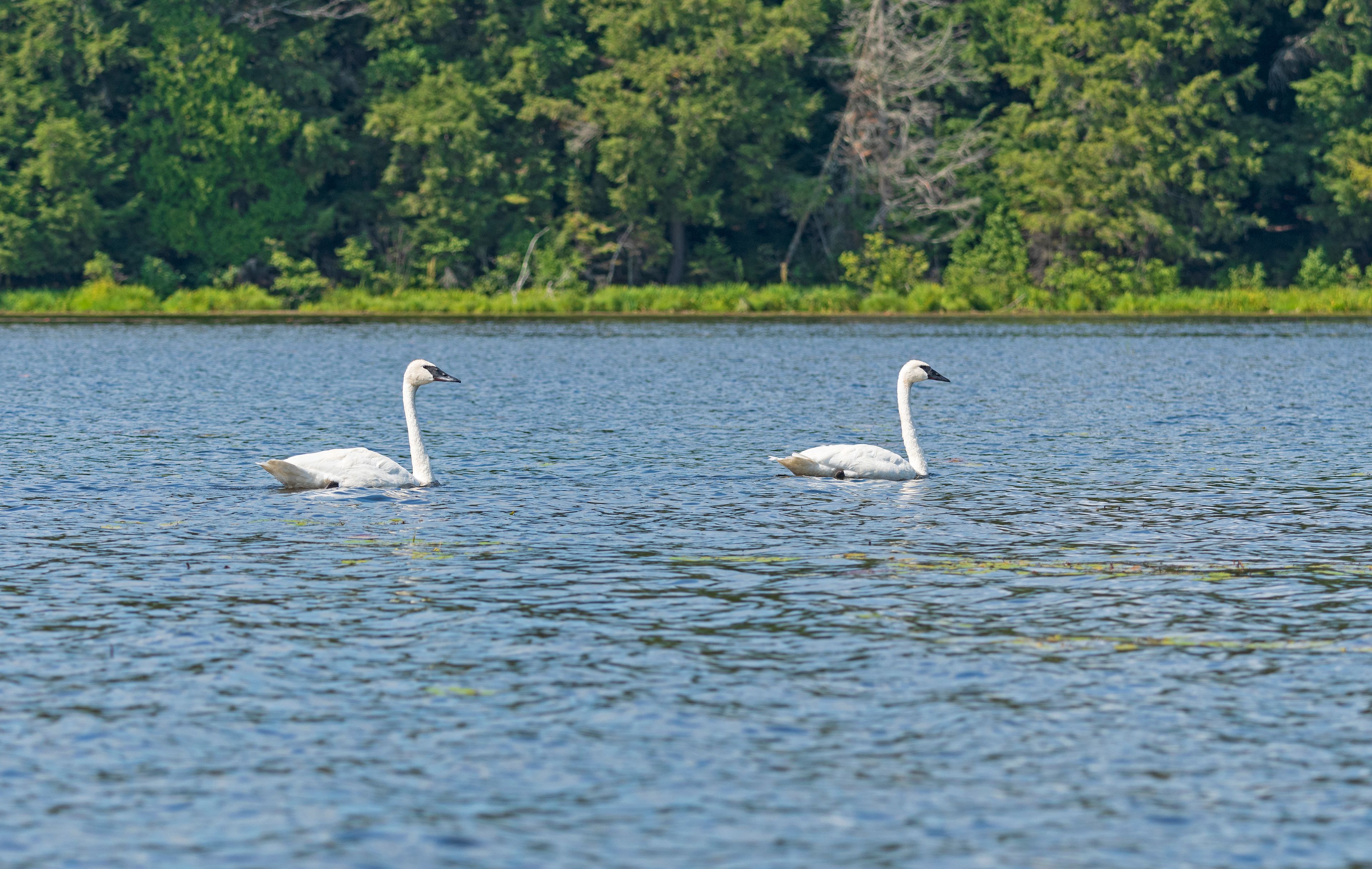 Crooked Lake
