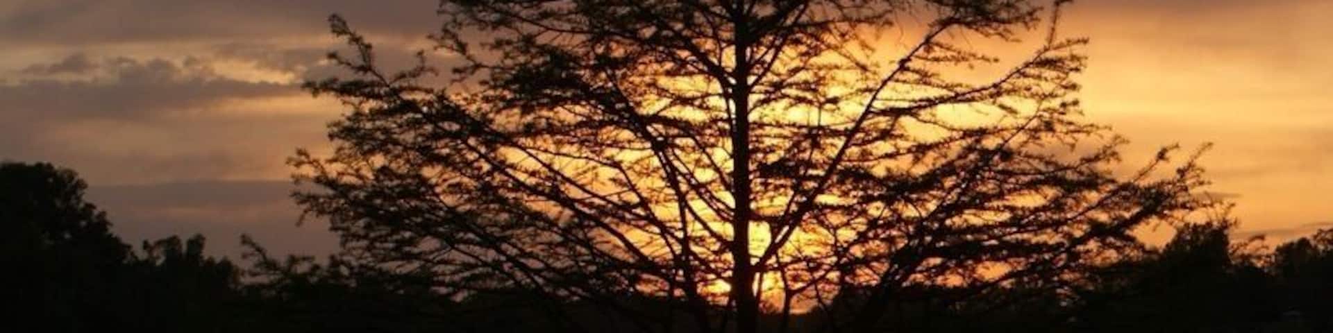Sunset on the lake while camping in May.