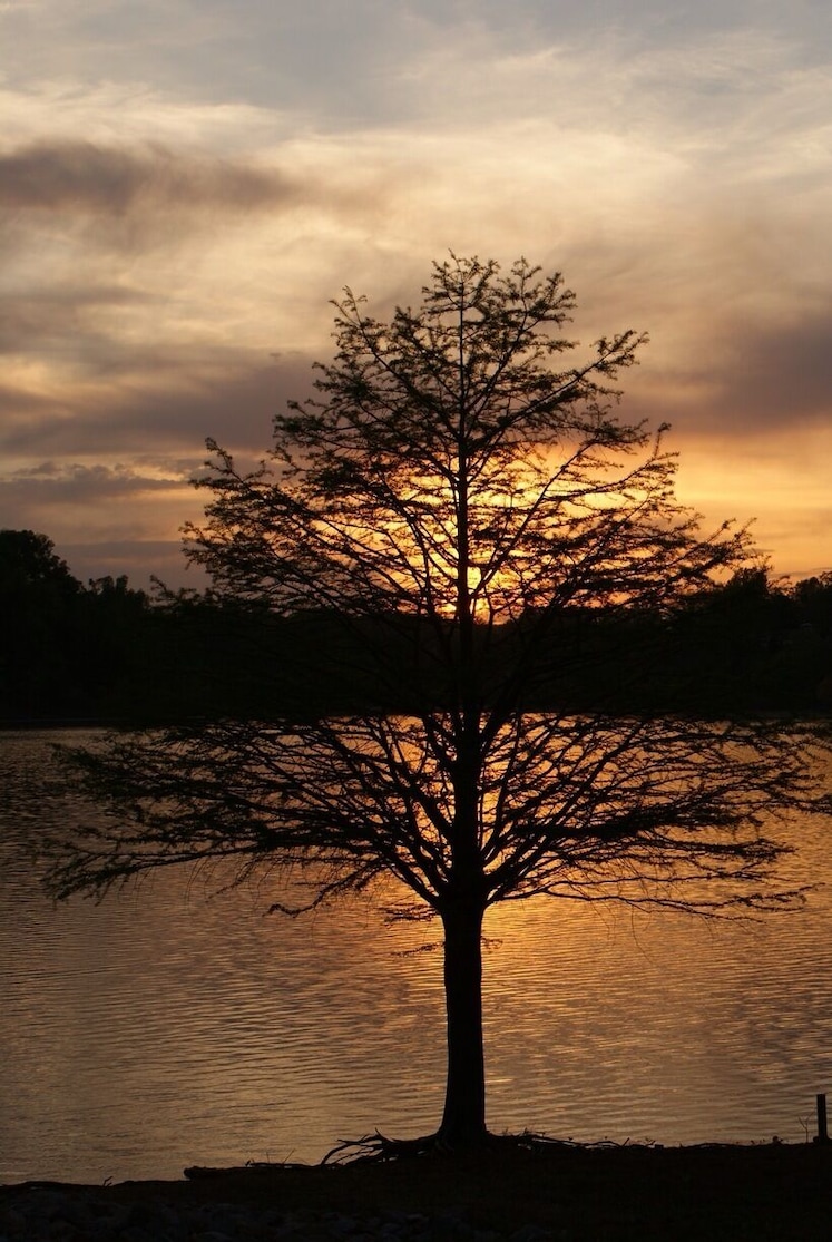 Sunset on the lake while camping in May.