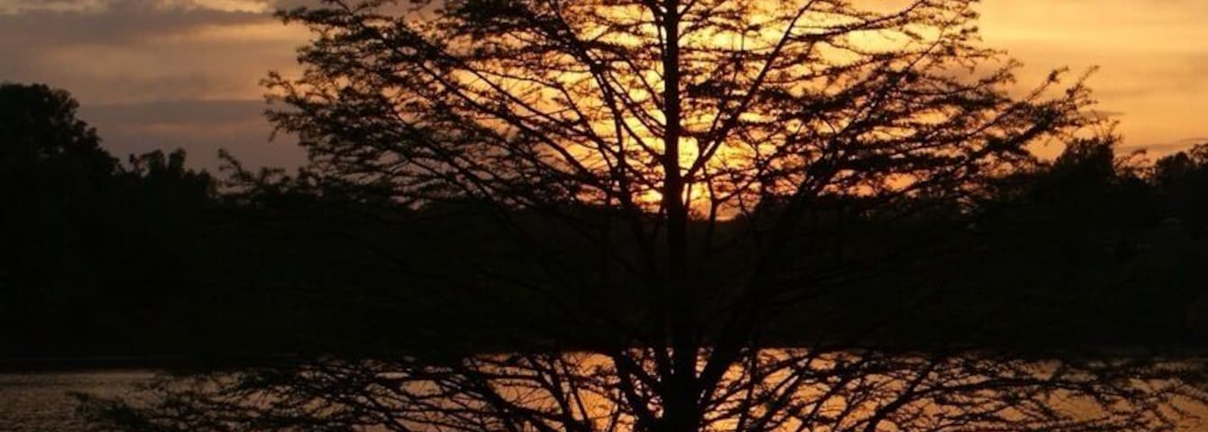 Sunset on the lake while camping in May.