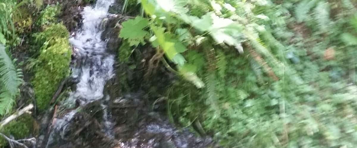 A beautiful lake to kayak, swim and play in. Lots if baby waterfalls on the trails. A great weekend getaway.