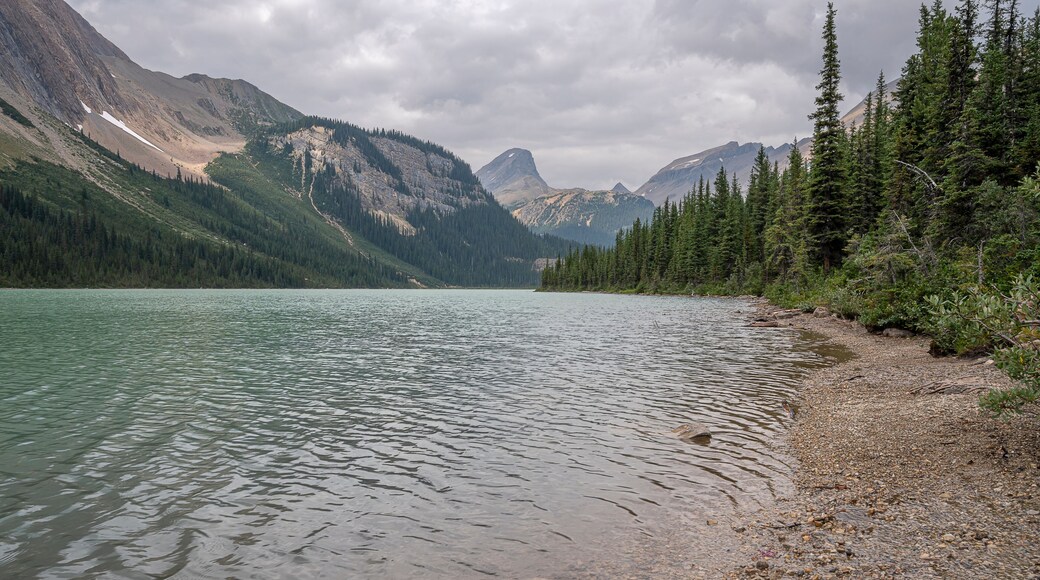 Cloudy day at Sherbrooke Lake in Yoho National Park, British Columbia, Canada