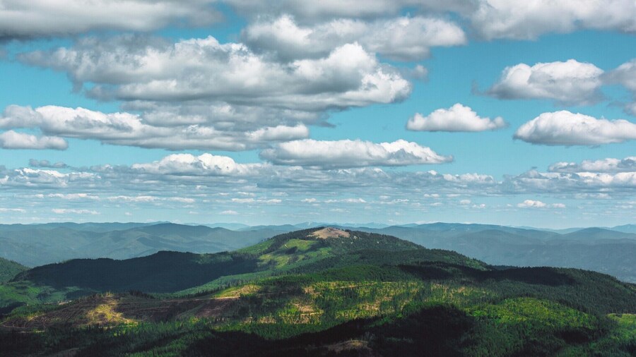 Hiked up to the fireman's tower. Epic views of all of Spokane and Coeur d'Alene. Wish I had known about this wonderful view earlier. #BVStrove