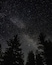 Notte stellata con la Via Lattea visibile e alberi in silhouette sullo sfondo.