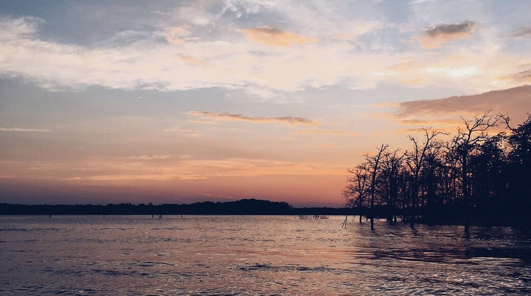 Lake Somerville, Texas