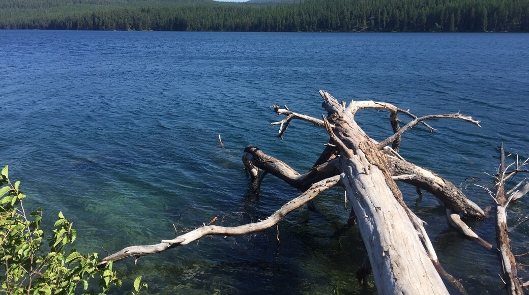 McGregor lake, Montana