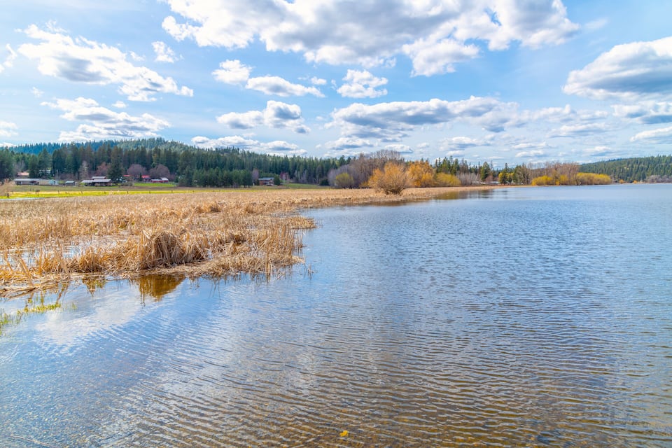 A calm lake with reflections of trees and a clear sky.