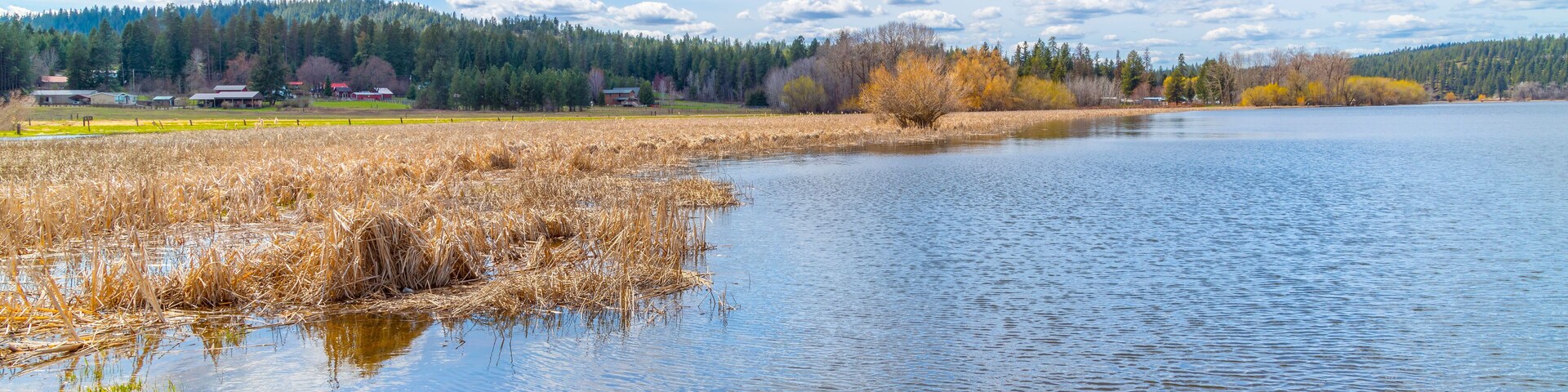 View of the wetlands, shoreline and hills of Hauser Lake, Idaho, a suburb of the general Coeur d'Alene area of the North Idaho Panhandle