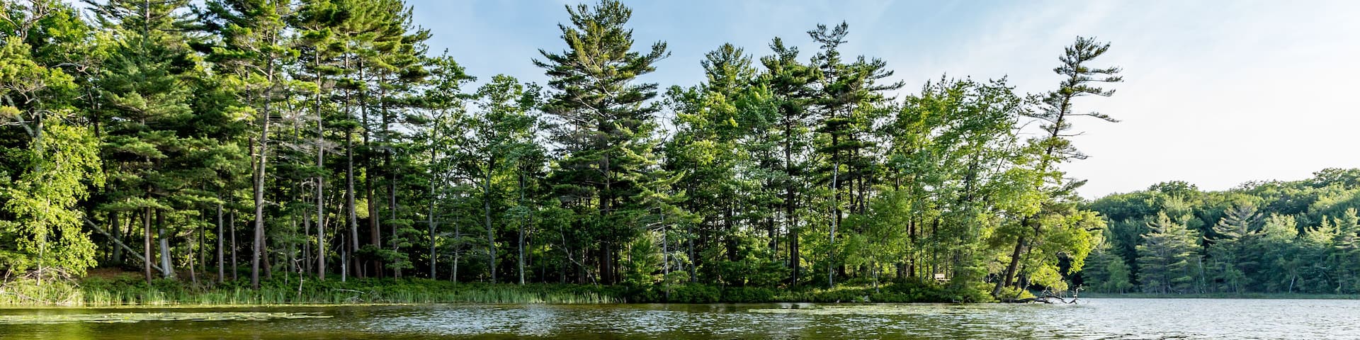 Kayak on Lake with lily pads