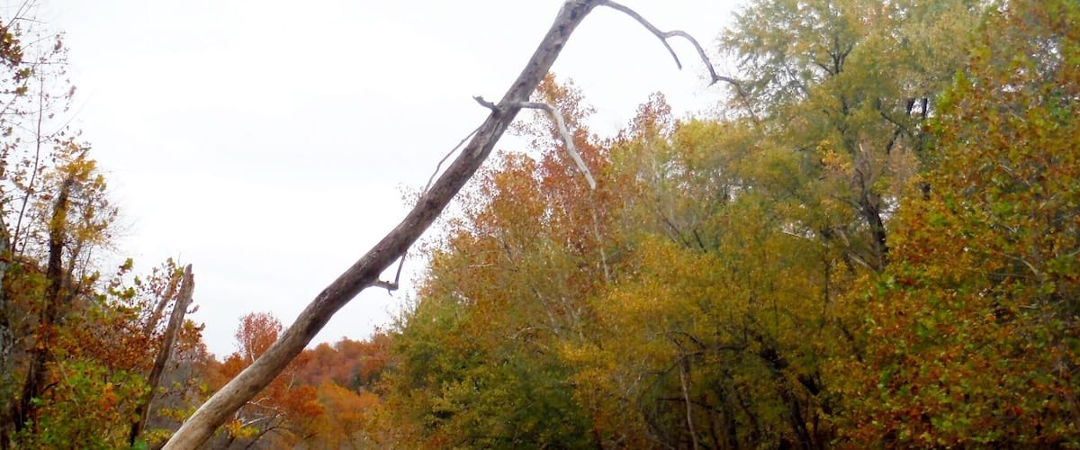 A fall float trip through the beautiful Ozark Mountains.