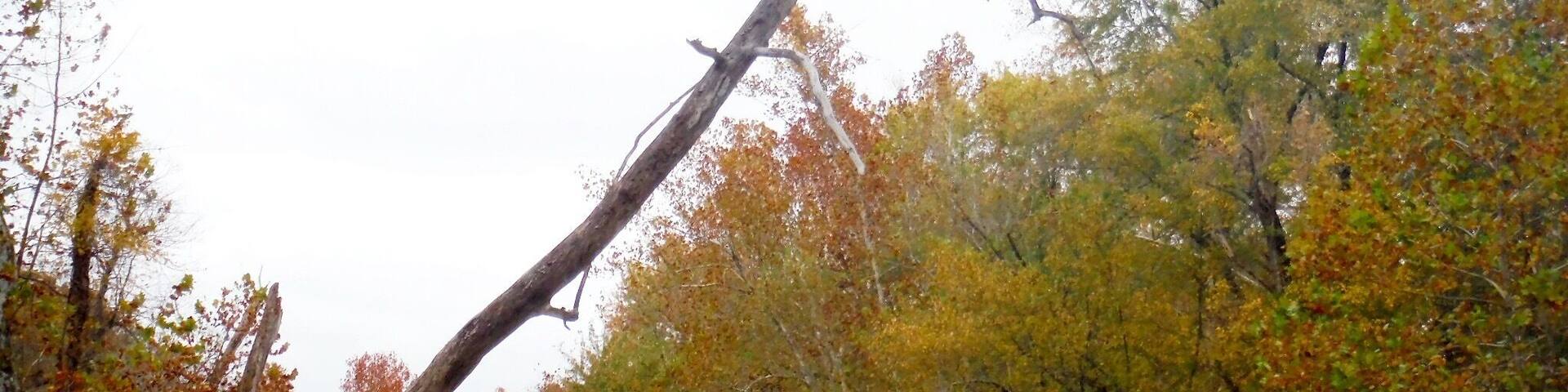 A fall float trip through the beautiful Ozark Mountains.