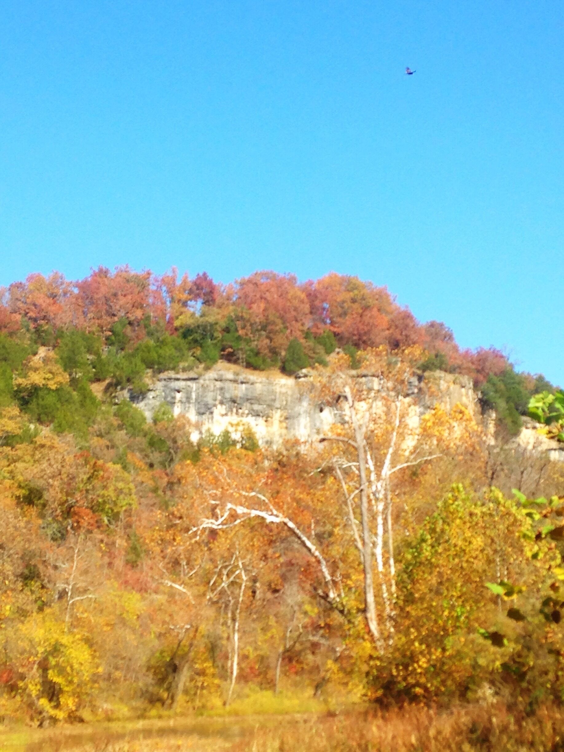 Beautiful autumn colors in the Missouri Ozarks. This is a bluff above the Niangua River taken from my canoe. 