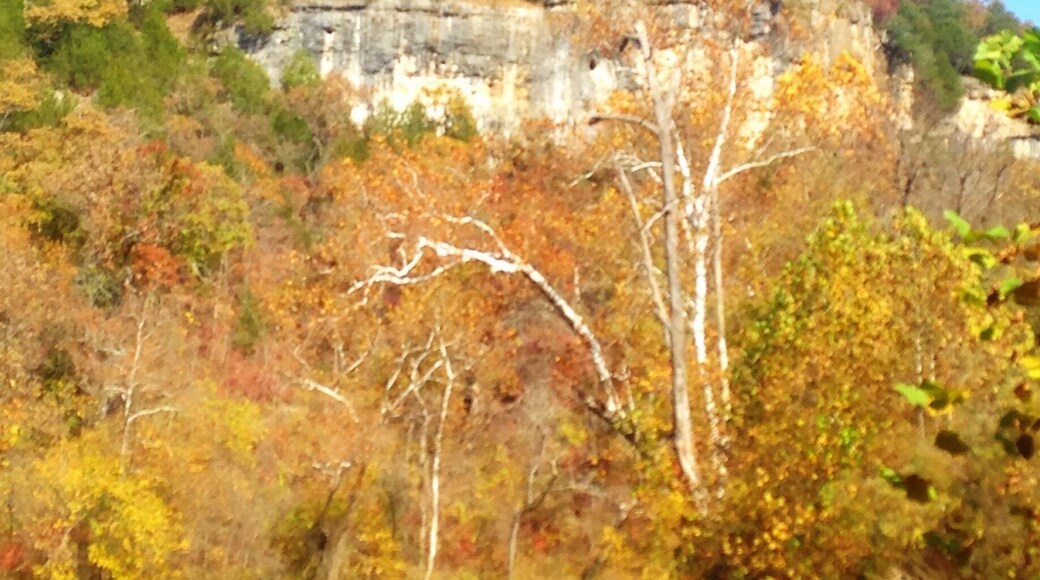 Beautiful autumn colors in the Missouri Ozarks. This is a bluff above the Niangua River taken from my canoe.