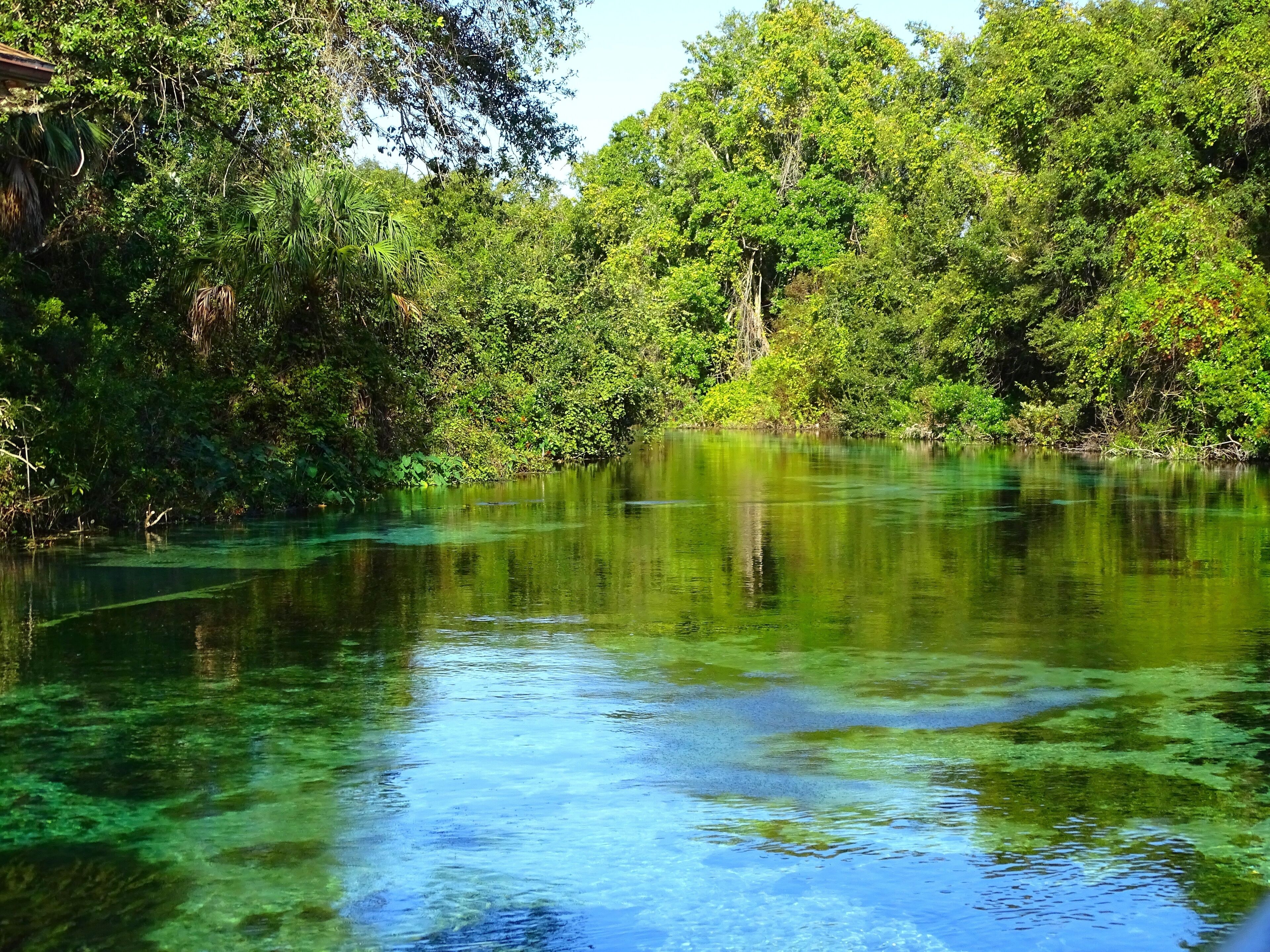 Weeki Wachee River