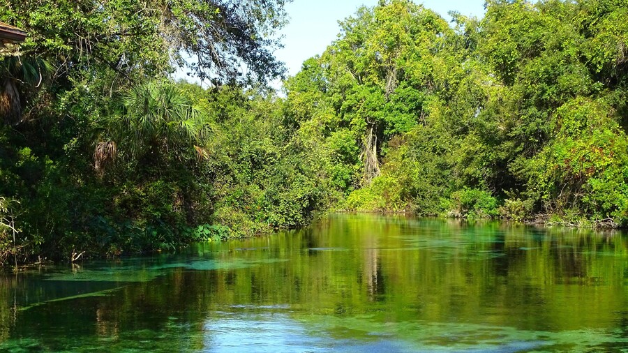 Weeki Wachee River