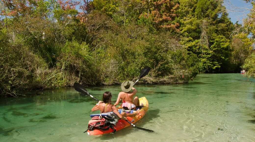 Weeki Wachee River
