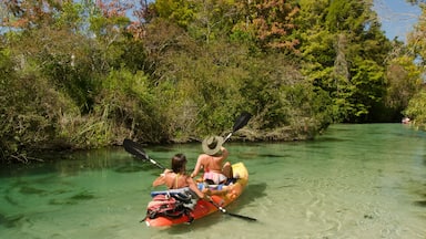 Woman kayaking on the Weeki Wachee River, Spring Hill Florida.
