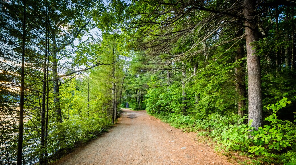 Trail along Winnisquam Lake, at Ahern State Park, in Laconia, Ne