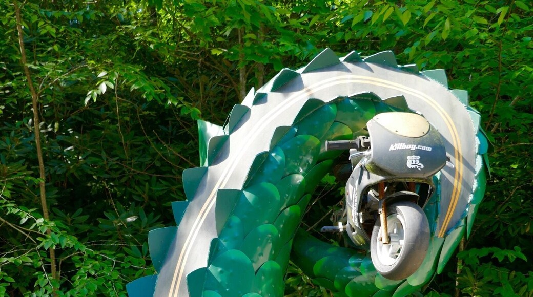 " Tail of the Dragon" 11 miles drive has over 300 curves , motorcycle enthusiasts use it daily for illegal racing and adrenaline rush