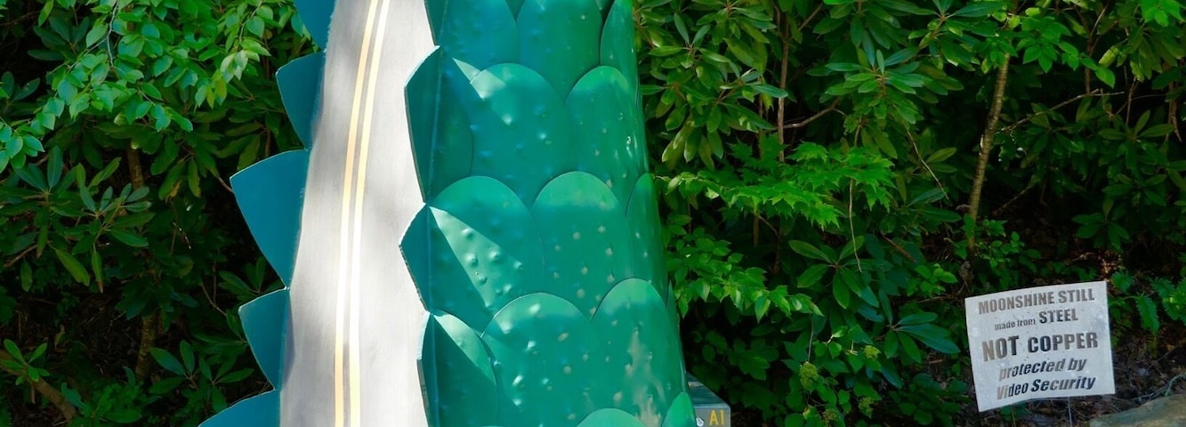 " Tail of the Dragon" 11 miles drive has over 300 curves , motorcycle enthusiasts use it daily for illegal racing and adrenaline rush