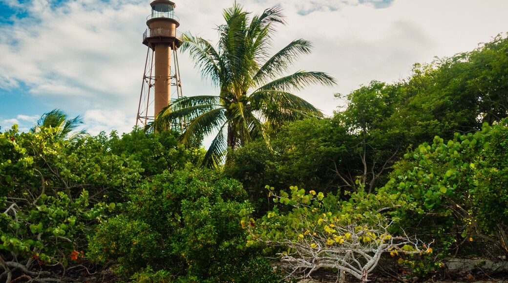Platja de Shell Point