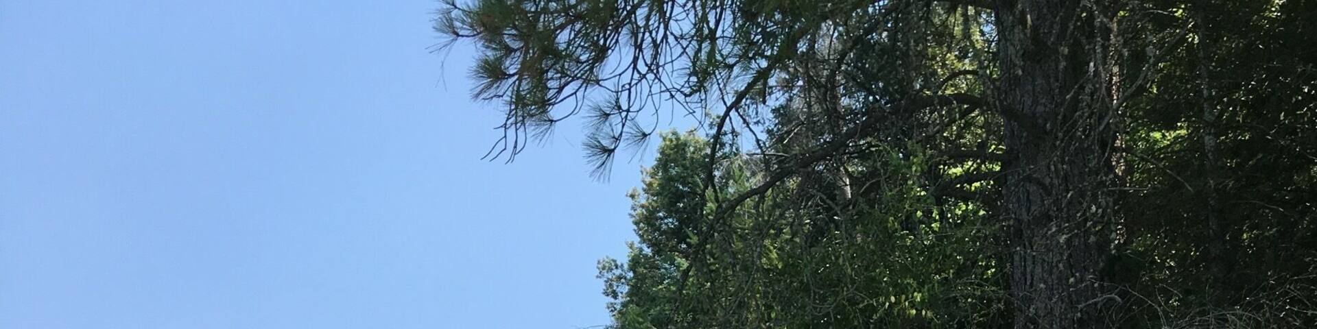 Tried this Reservoir out for some kayaking, the "no wake zone" is pretty large and there were plenty of areas that branched into smaller lagoons, plus the water was beautiful. Even the choppy areas weren't so bad. Great place for water sports.