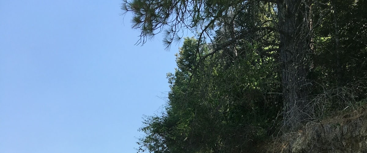 A kayak on a calm river with a forested cliff and sandy beach in the background.