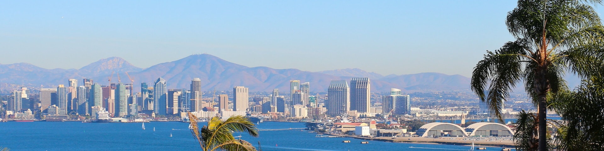 A marina with numerous boats, a city skyline with tall buildings, and mountains in the background.