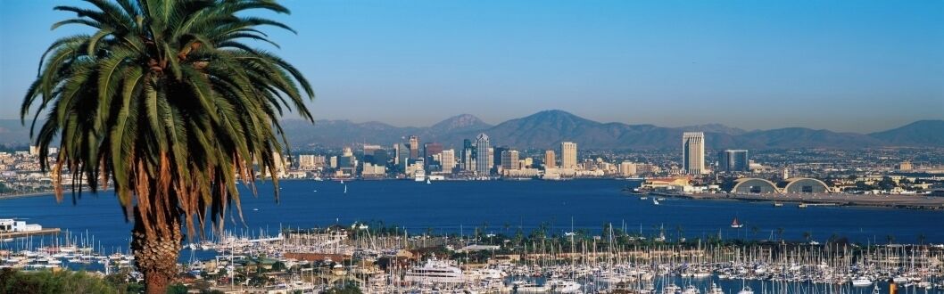 This is the San Diego Bay and harbor. It is the view from Shelter Island at sunset. There is a large palm tree to the left and many boats moored in the harbor.