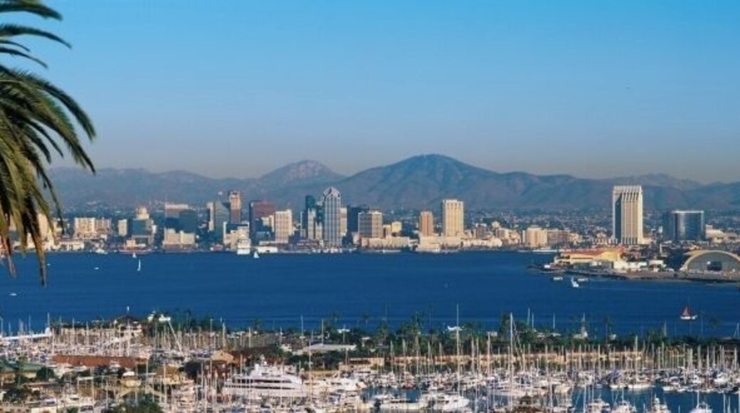 This is the San Diego Bay and harbor. It is the view from Shelter Island at sunset. There is a large palm tree to the left and many boats moored in the harbor.