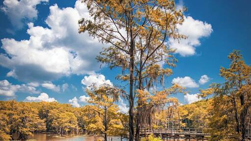#LifeAtExpedia
#Texas
#CaddoLake
This is one of the places in east Texas that not many Texans know of. This was my third visit to this place and I was still amazed with the beauty I could see in a place like Texas. It's just 4 hours drive from Austin and 2.5 hours drive from Dallas towards East.
What makes this place special is cypress trees in the lake and their beautiful reflections. You get a different flavor in each season - greens all around in spring and summer, different colors in fall and a brown cover in winters. Also, you would be in for a treat if you are a bird lover. Get up early in the morning and you could hear several birds chirping.
Tips:
1. Avoid visiting this place in summer as it's still Texas and it gets very hot and humid during that time.
2. Instead of booking a hotel in Karnack town, get a vacation rental (go Vrbo) in "Uncertain" -- yes, that's the name of the place. Most vacation rentals have a minimum of two night stays so plan the trip accordingly.