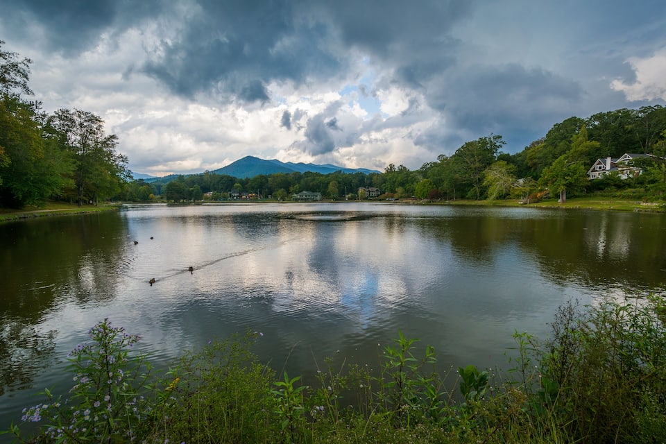 A calm lake with ducks, surrounded by lush greenery and a house on the right.