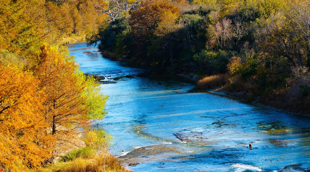 Guadalupe River
