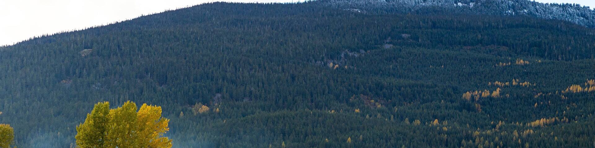 Green Lake showing a small town or village, tranquil scenes and a lake or waterhole