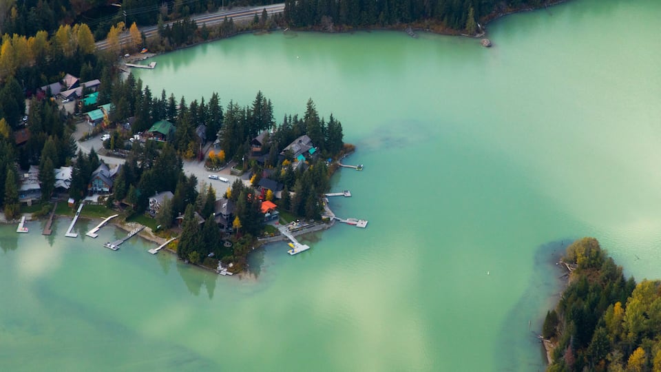 An aerial view of a lake surrounded by houses and docks.