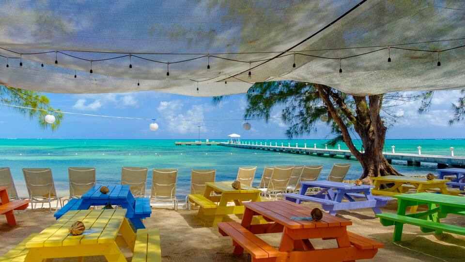 A beachside seating area with colorful picnic tables and chairs, a pier extending into the turquoise sea, and a large tree providing shade.