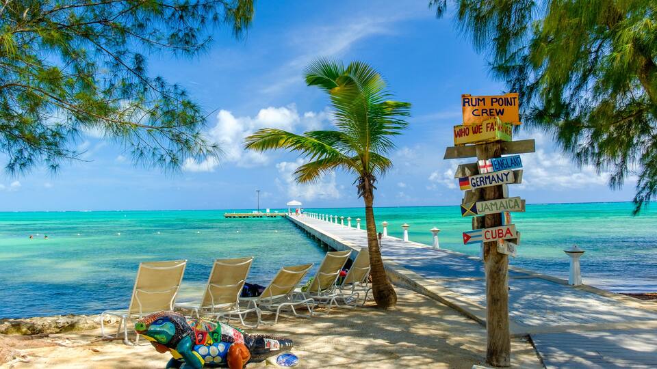 A beach with lounge chairs, a palm tree, and a signpost with country names.