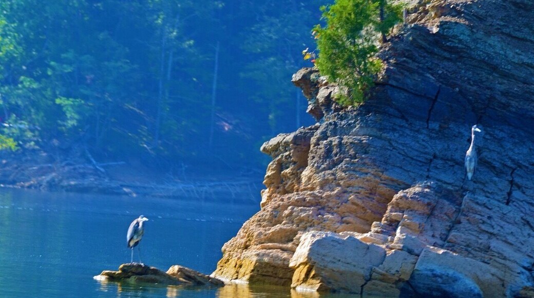Norris Lake outside Maynardville TN