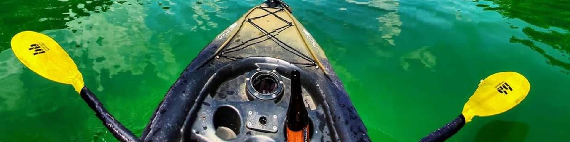 Norris lake is a perfect place for kayaking of you find the right cove. This spot was located near blue ridge state park