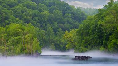 Norris Dam State Park fog on the river; Shutterstock ID 192167681; purchase_order: SP-1269 HA 2018 Batch 1; Order: ; client: ; other: