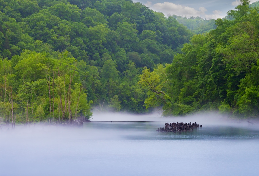 Norris Dam State Park fog on the river; Shutterstock ID 192167681; purchase_order: SP-1269 HA 2018 Batch 1; Order: ; client: ; other: