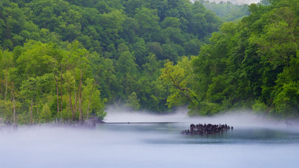 A lake surrounded by dense forest with a small group of people on a dock.